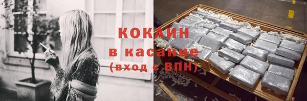 мдпв Каменка