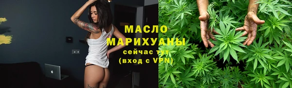 мдпв Каменка