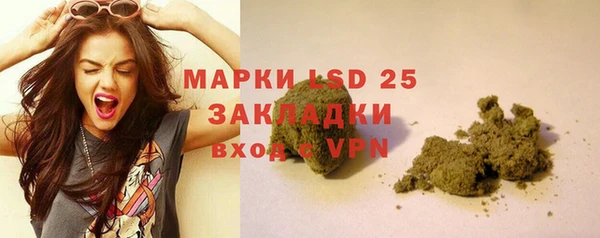 мдпв Каменка