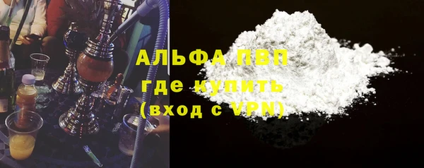 мдпв Каменка