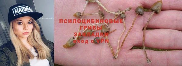мдпв Каменка