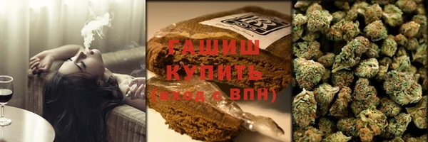 мдпв Каменка