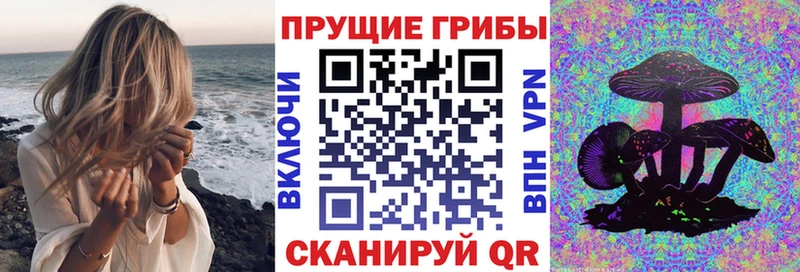 Псилоцибиновые грибы мухоморы  Купить где  Гаджиево 